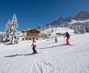 Moseralm Dolomiti Spa Resort