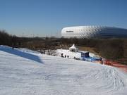 View of the Allianz Arena from Fröttmaninger Berg