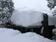 Plenty of natural snow in Brighton