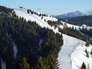 View of the Rainer slope No. 21