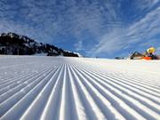 Perfect slope grooming in the Wildhaus ski area