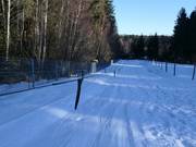 Geissleinpark (Seillift) - Rope tow/baby lift with low rope tow