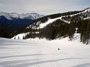 Slope No. 56 Deer Run