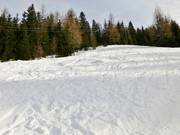 Off-piste terrain at the Feldherrnhügellift