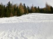 Powder snow terrain at the Feldherrnhuegel lift