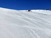 First-class slope grooming at Seceda