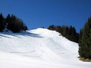 Black slope next to the summit lift