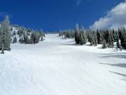 Paradise downhill run