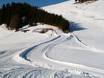 Alpe di Siusi (Seiser Alm) toboggan runs