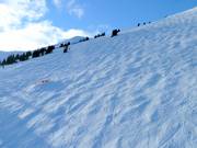 Mogul slope Outer Limits