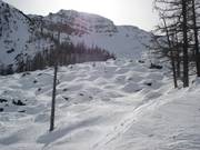 Mogul slope Rock Garden