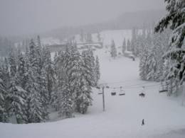 Ski resort Mt. Hood Meadows