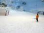 Ski Dubai – Mall of the Emirates