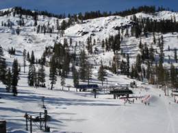 Alpine Meadows