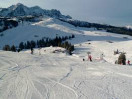 Lofer – Loferer Alm (Almenwelt Lofer)