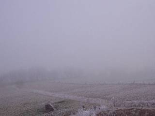 Herchenhainer Höhe - Vogelschmiede