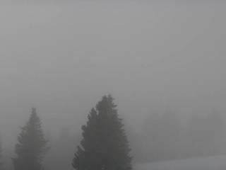 Furtwangen i. S. - Brendturm