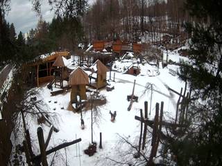 CZARNY GROŃ - Magiczna Osada