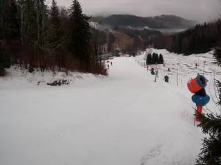 Czarnów-ski