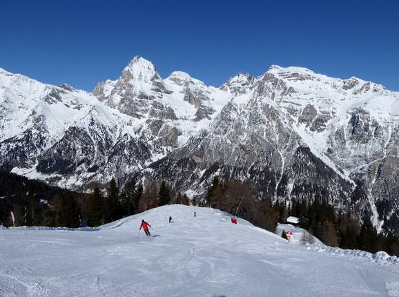 Panorama slope with view of the Pflerscher Tribulaun (3,097 metres)