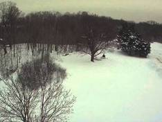 Video Earl Bales – North York (Toronto)