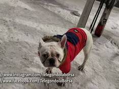 Video Olimpica – Borșa