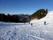 Easy Autobahn slope and Sender Express