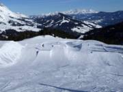 Blue Tomato Kings Park