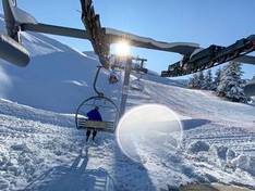 Video The Cedars