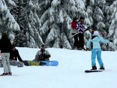 Video Vogelskopf (Baiersbronn)