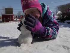 Video Christmas Mountain