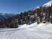 Tarlenta middle station