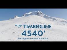 Video Timberline